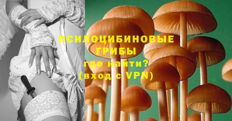 Галлюциногенные грибы GOLDEN TEACHER Алатырь